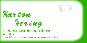 marton hering business card